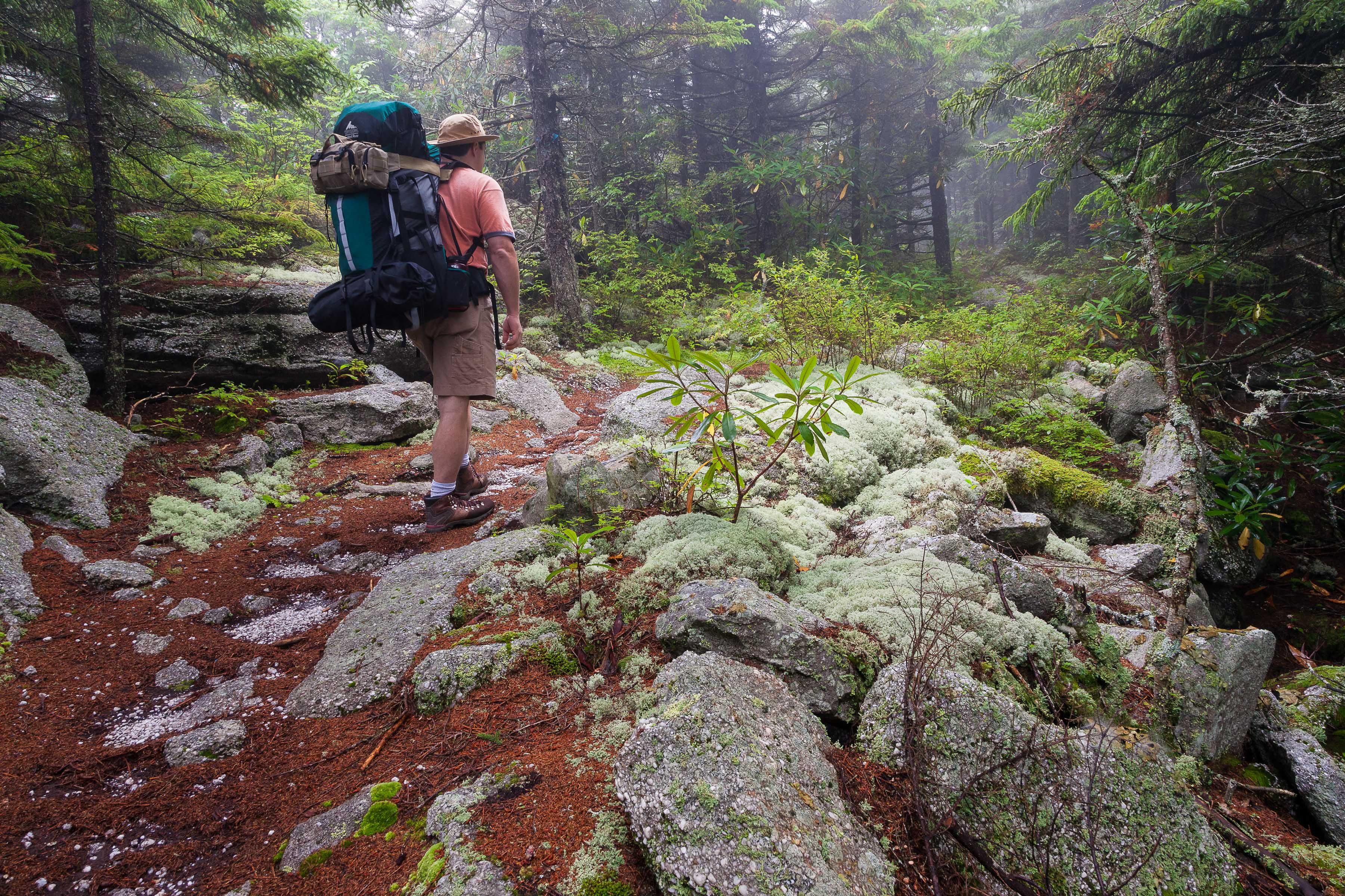 A man with a large bulky pack on his back hikes along a rocky trail dotted with tall fern plants.